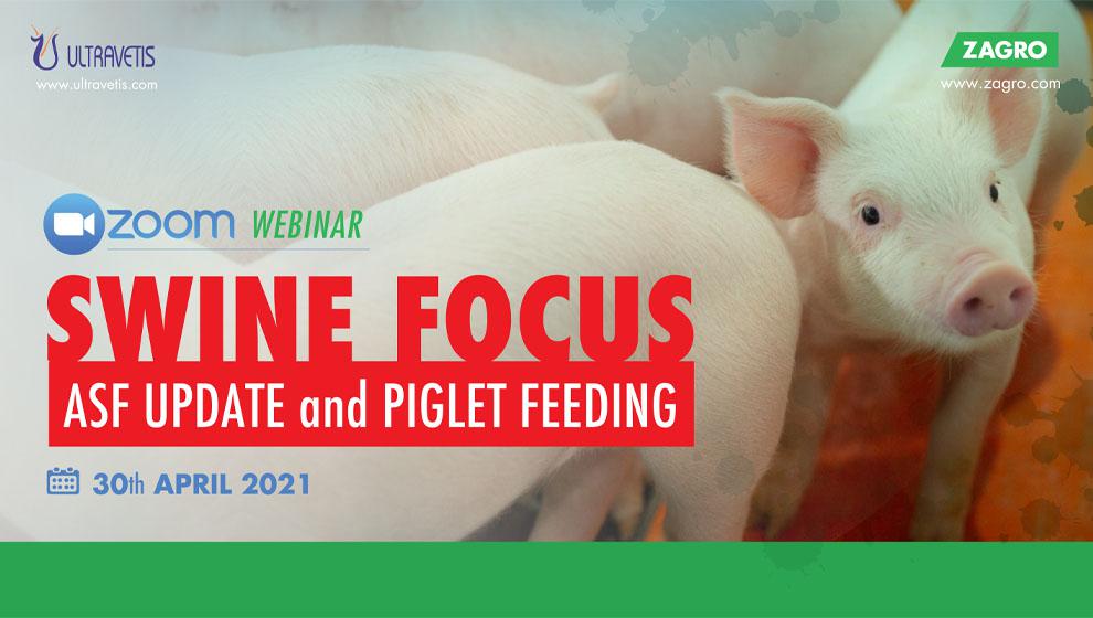 Swine Focus (ASF Update and Piglet Feeding)